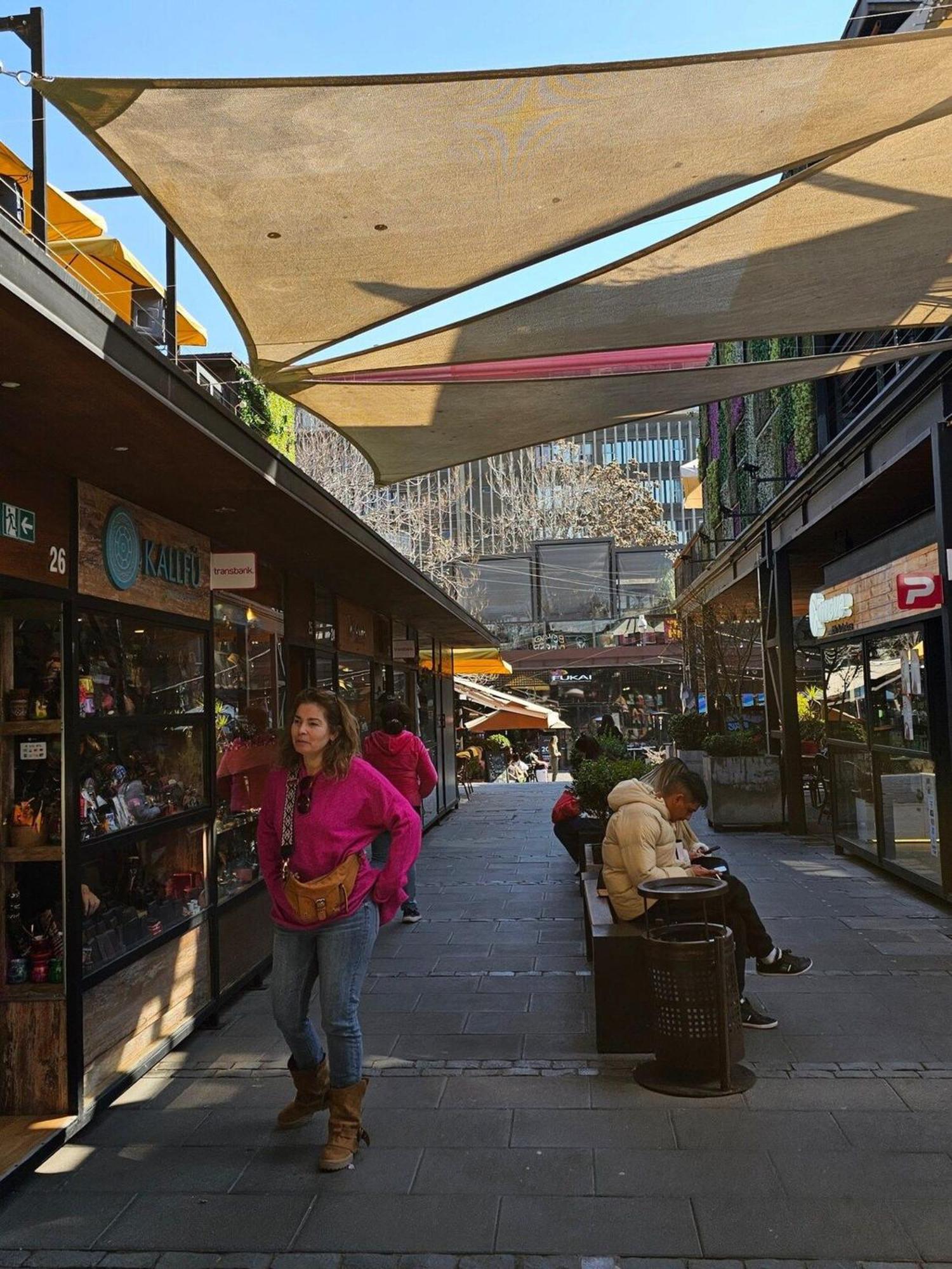 Bellavista Apartrent 圣地亚哥 外观 照片