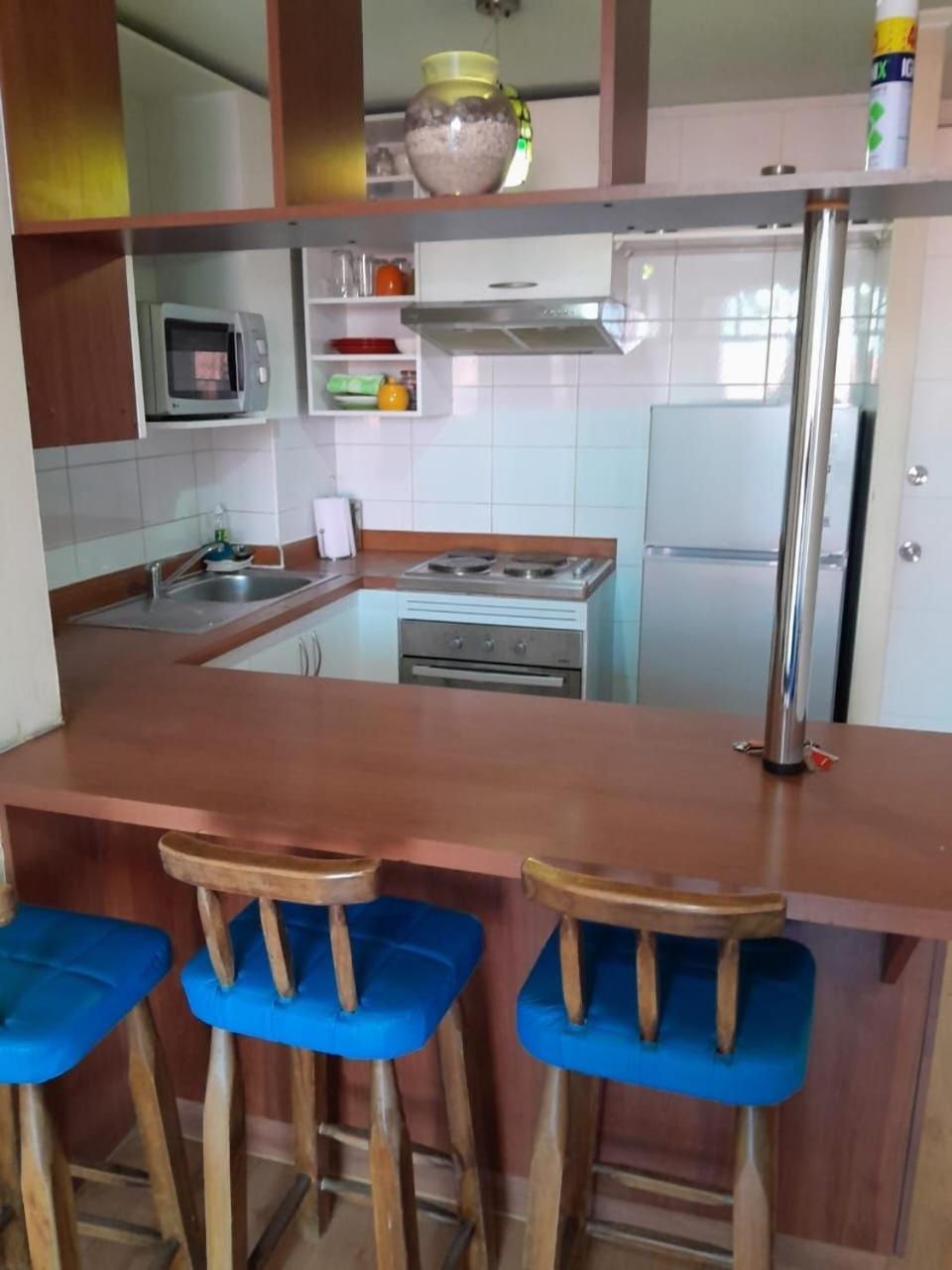 Bellavista Apartrent 圣地亚哥 外观 照片